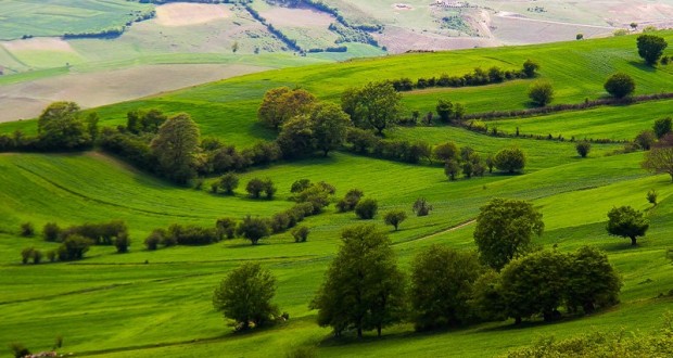 اخبار کشاورزی