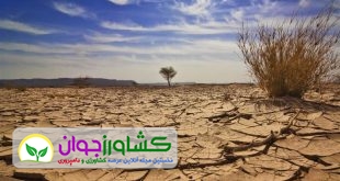 اخبار کشاورزی