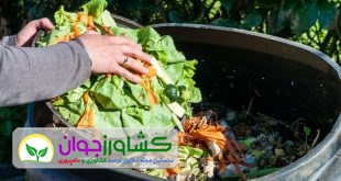 اخبار کشاورزی