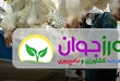 اخبار کشاورزی