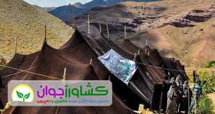اخبار کشاورزی