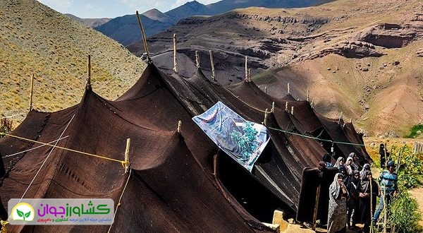 اخبار کشاورزی