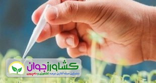 اخبار کشاورزی
