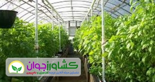 اخبار کشاورزی