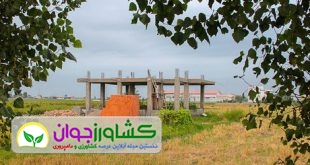 اخبار کشاورزی