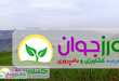 بررسی جوانب فنی کشت دیم ایران و راهکارهای بهبود عملکرد