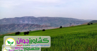 اخبار کشاورزی