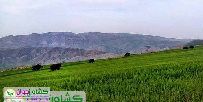 اخبار کشاورزی