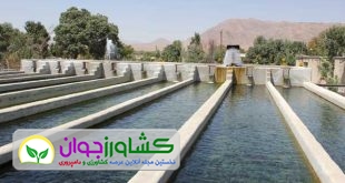 ممنوعیت پرورش آبزیان در خوزستان و ابهام در وضعیت 14 هزار شاغل در این بخش