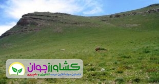 پوشش گیاهی برای خاک به مثابه پوست برای بدن انسان