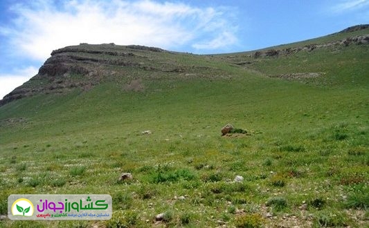 اخبار کشاورزی