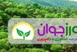 اخبار کشاورزی
