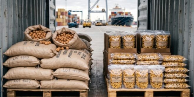 گردو با پوست یا بی پوست؟ کدام برای صادرات مناسب تر است؟